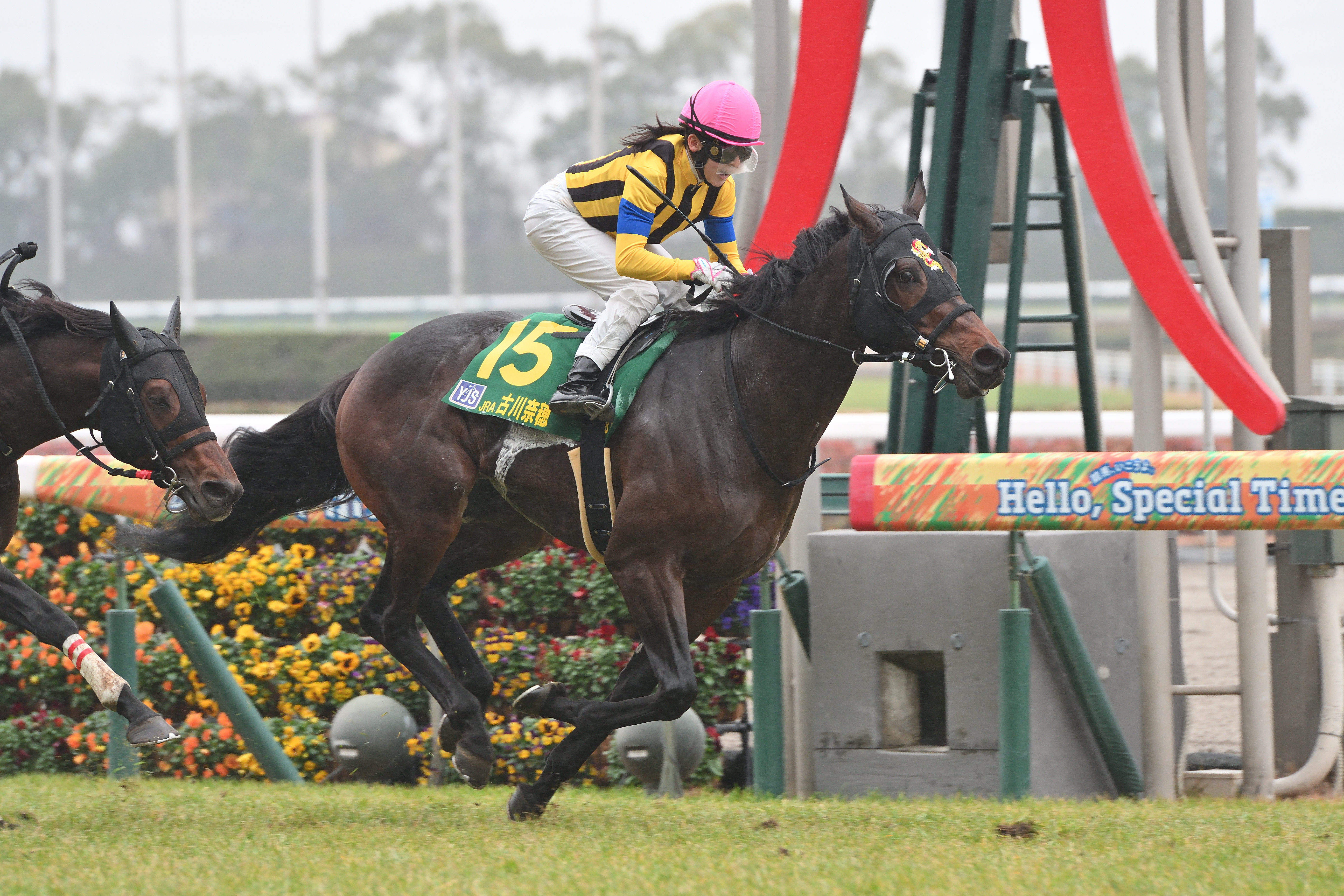 競馬
